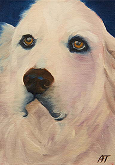 Oil Painting by Ann Trusty